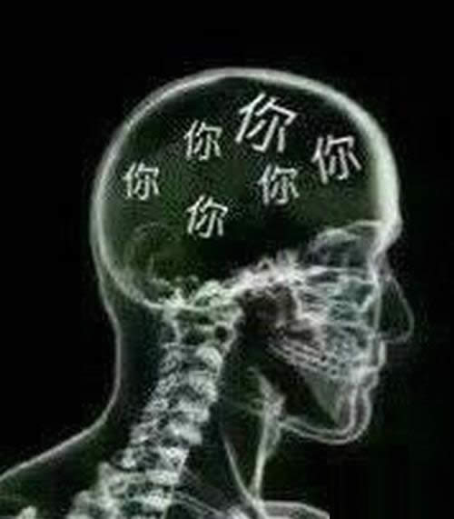 520˹(ji)΢Ȧ