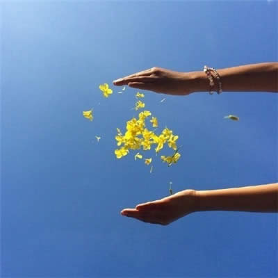 �����\��΢���^��