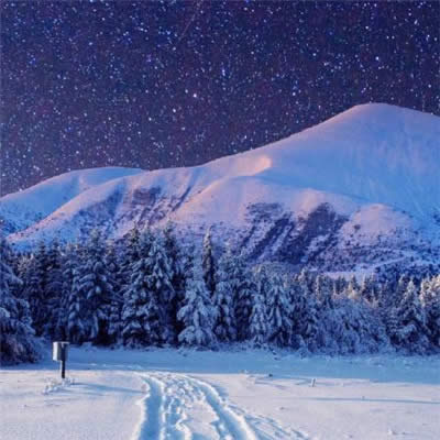 �����\��΢���^��