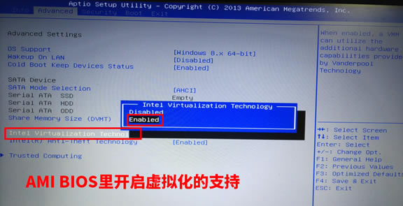 BIOS]_̓M֧֌(do)µVirtualBox̓MCo