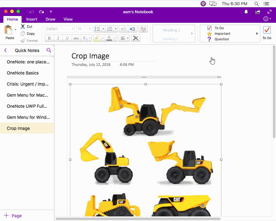 ʹ䌚ˆĲüDƬ Mac OneNote ĈDƬMв鿴