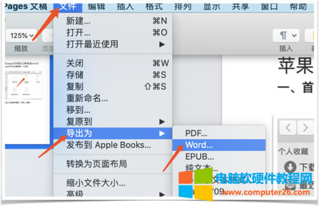 pagesD(zhun)wordڶ