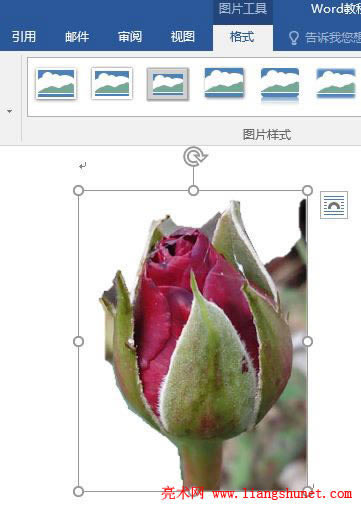 Word 2016 DƬh(bio)ӛ