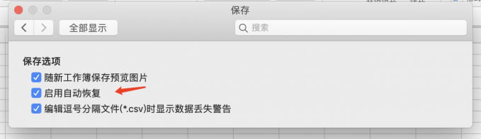啟用自動(dòng)恢復(fù)
