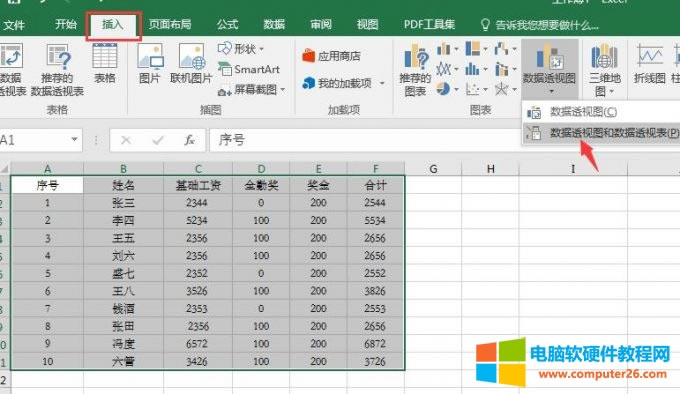插入-數(shù)據(jù)透視圖
