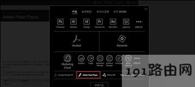 Win8ϵy(tng)g[_(ki)W(wng)(y)ʾShockwave FlashĽQ