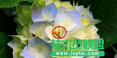 �����ppt�в�����