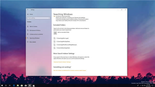 Windows 10 19H1(qing)ʹ÷