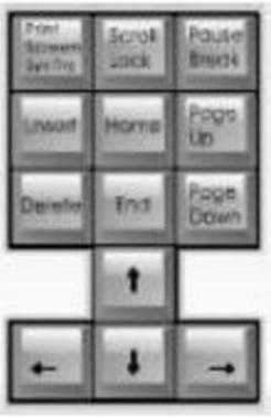 _ʹIP(pn)