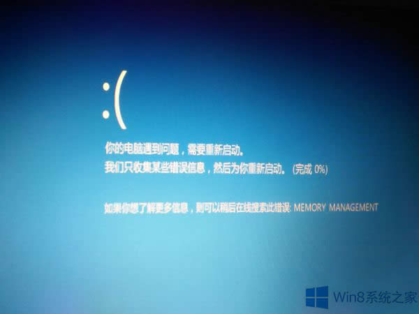 Win8.1{(ln)e`Memory Management̎