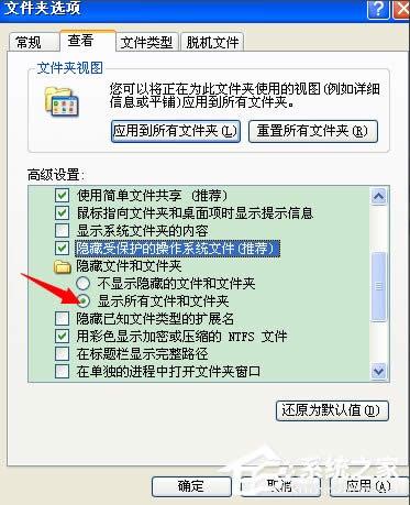 XPD(bio)_ޏ(f)