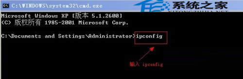 νQxpϵy(tng)Bٶ(wn)}