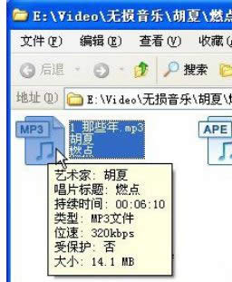 XPϵy(tng)apeʽD(zhun)Qmp3ʽķ