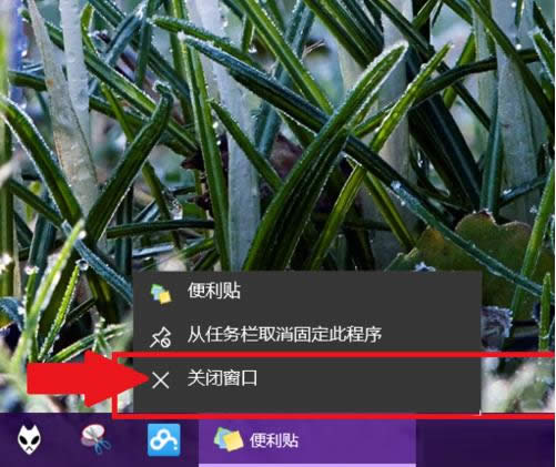 Win10㺞NNδ_(ki)ʹ÷B